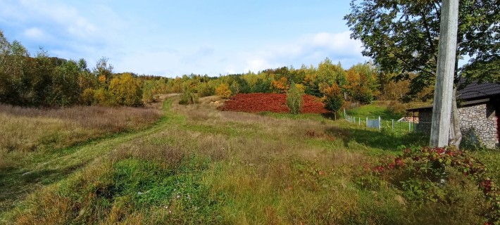 Продаж ділянки у Колиби Поляна Закарпатьской - фото 1