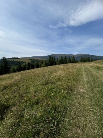 Земельна ділянка в с.Пилипець Закарпатськоі області - фото 1