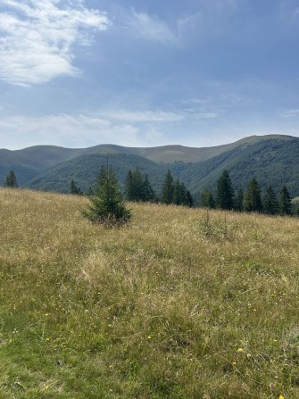 Земельна ділянка в мальовничому гірськолижному курорті Пилипець - фото 1