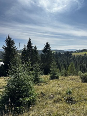 Земельна ділянка Яблуниця - фото 1