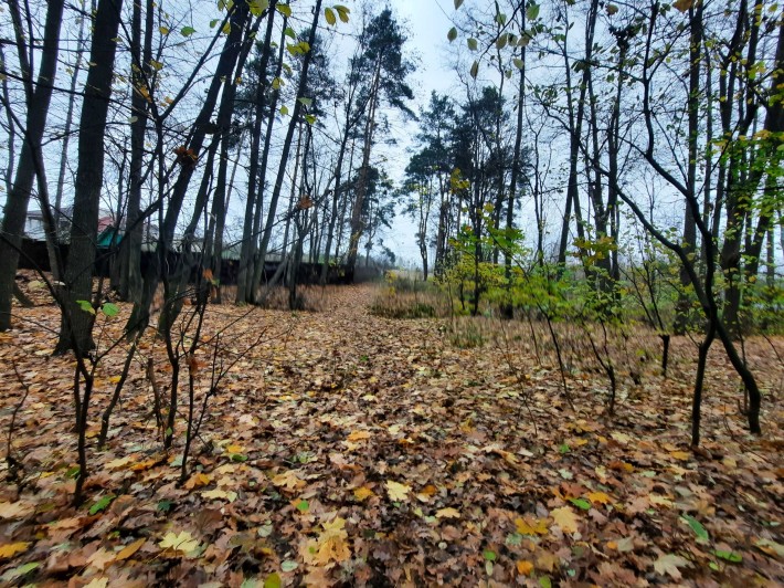 Ворзель, Ділянка 26 соток. Класна локація поруч ресторан «Шкіпер» - фото 1