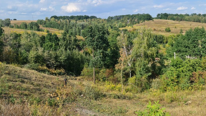 Лучший видовой участок Лесники - фото 1