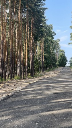 Продам Ділянку 24сотки Навпроти Заповідного Лісу в Ексклюзивному Місці - фото 1