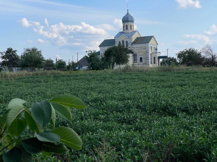 Земельна ділянка - фото 1