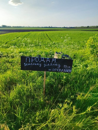 Земельна ділянка Миронівського р-н с. Козин Київської обл. - фото 1