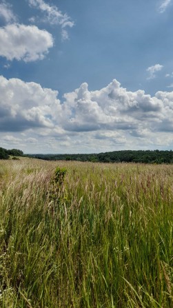 Продаж родючої землі в Київській області,під будівнитство. - фото 1