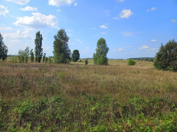 Земельні ділянки для забудови поруч із Бучею! - фото 1