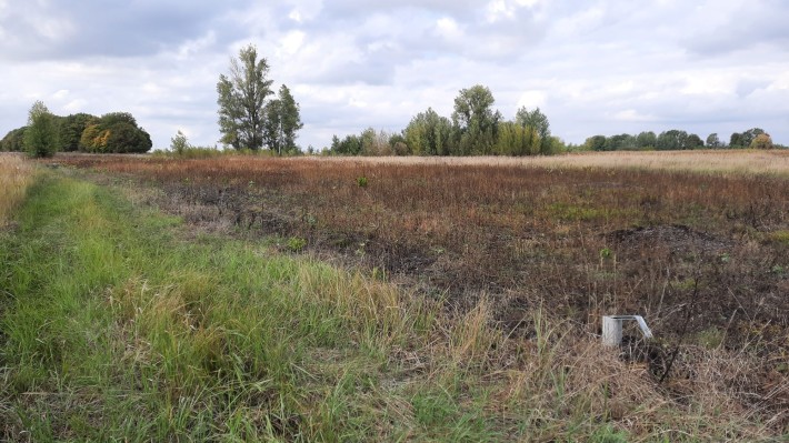 Продам 2 земельні ділянки під будівництво по 8500$ - фото 1