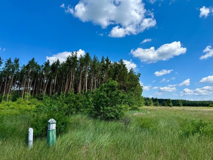 Дмитрівка. Ділянка під ЛІСОМ 15 сот. - фото 1