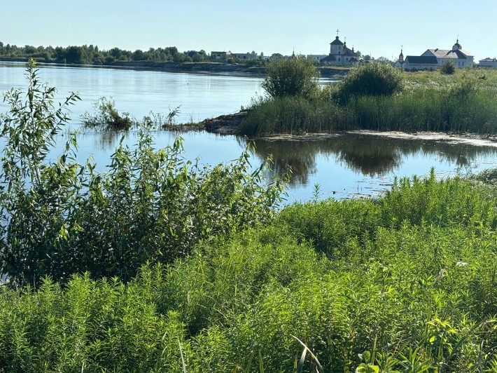 Продаж земельної ділянки  c.Зазим'я ,Київська обл.Броварський р-н - фото 1