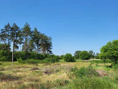 Продажа участка 12 соток!