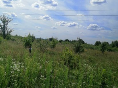 Земельна ділянка 80 соток с. Зазим'є Зазим'я