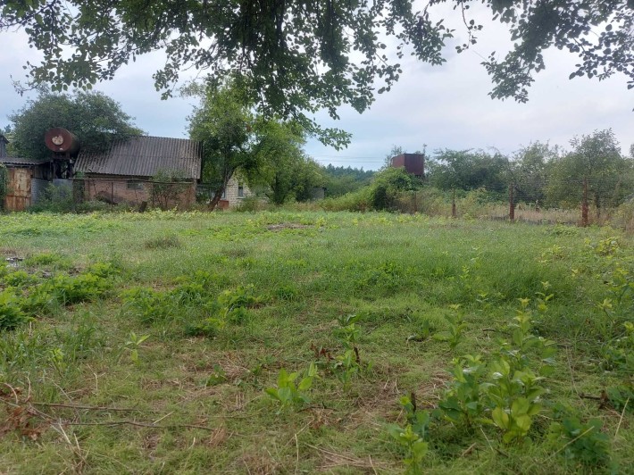 Здвижівка участок ділянка під будинок (дачу) під забудову САДОВОД - фото 1