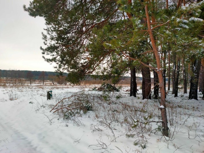 Продаж 16 соток під будівництво село Здвижівка Бучанський р-н - фото 1