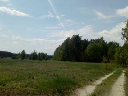 Продам земельну ділянку 0,75 га, с. Здвижівка, Бучанський район!