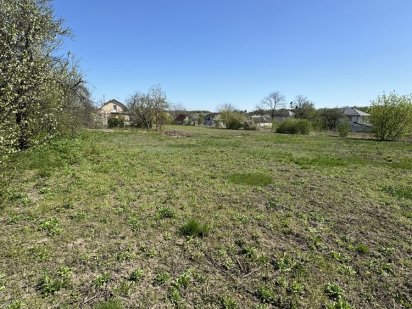 Ділянка в с Іванковичі 29 сот приваблива ціна