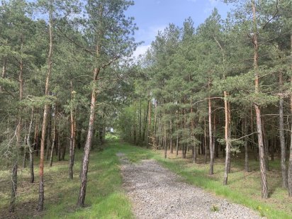 Під базу відпочинку Продам 58 сот Кийлів Кийлов Днепр вихід на воду