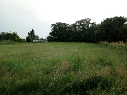 Земельный участок Киевская обл. Бориспольский р-н с.Кийлов Кийлов