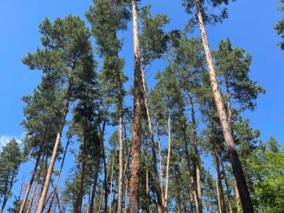 Продається ділянка! Колонщина!