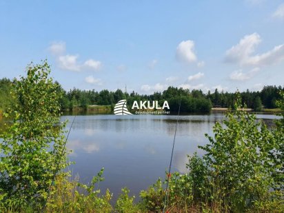 Продаж Земля Макарівський р-н, Колонщина 11,5га СУПЕР МІСЦЕ -ТОРГ