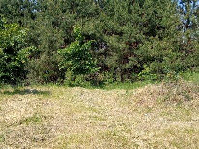 Продажа участка от 80га с.Марьяновка(Колонщина),застройка