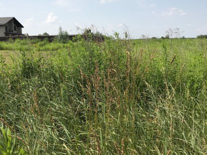 Продам земельну ділянку 15с, в с. Красилівка, Броварського р-на