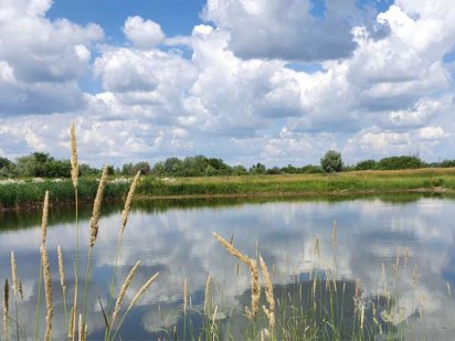 Продам або обміняю ділянку 140 соток з приватним озером