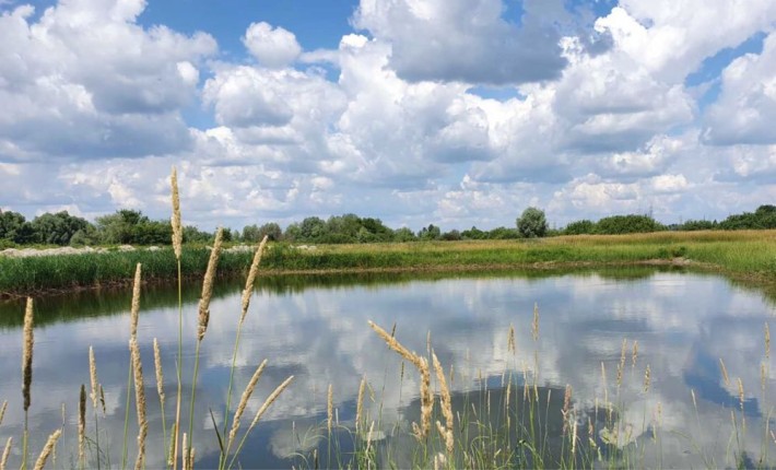 Продам або обміняю ділянку 140 соток з приватним озером - фото 1