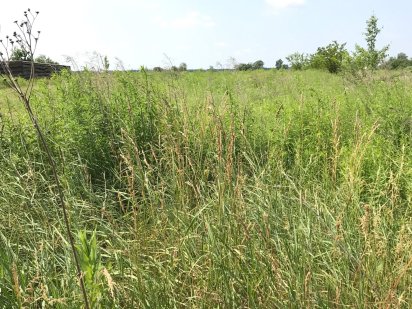 Продам земельну ділянку в с. Красилівка, Броварського р-ну