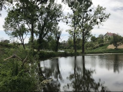 Участок 54 сотки в Крушинка Васильковский район Крушинка