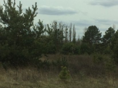 Продам участок 5,22   6.40  га (с/г назначения) с. Крушинка Крушинка