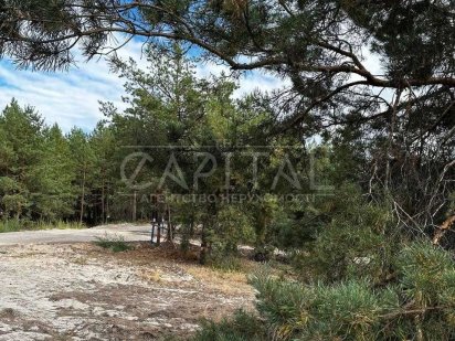 Продажа участка, Riviera Village, Лебедевка, Вышгородский