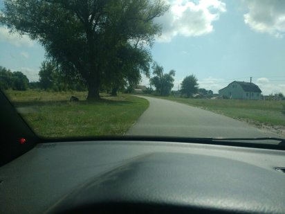 Участок, земля 12 сот. Киевская обл., Броварской р-н, с. Летки Літки