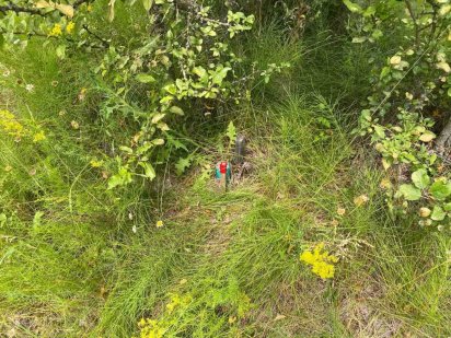 Земельна ділянка під забудову с. Літки