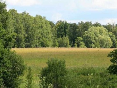 Продаж ділянки 30 га (20 га та 10 га), с. Любимівка (18 км до Києва)