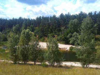 Мала Олександрівка ділянка 19.60 соток з виходом до озера та лісу