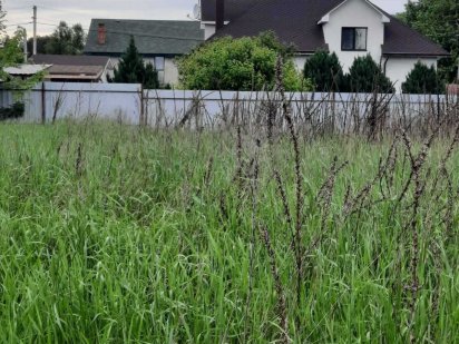 Лютіж, 6 соток, для будівництва. Фасад