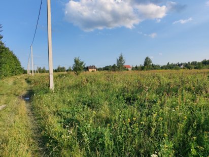 Продам гарну ділянку 12 соток під будівництво.Електроенергія поруч!