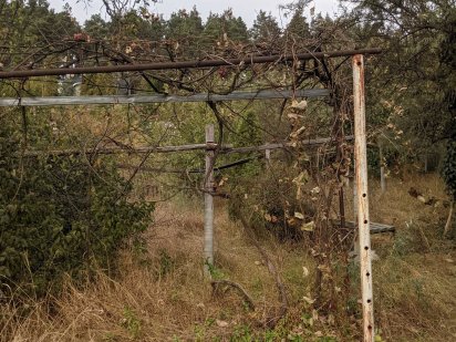 Ділянка біля лісу та озера у с. Малютянка Малютянка