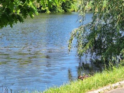 Продам участок  9 соток у озера