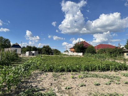 Продається ділянка в центрі с. Мархалівка Мархалівка