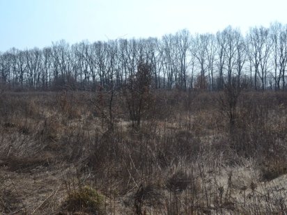 Участок 14 соток в с. Мархалевка (Васильковский район) Мархаловка