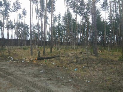 1 Земельна ділянка в с. Мархалевка під Багатоквартирну забудову Мархалівка