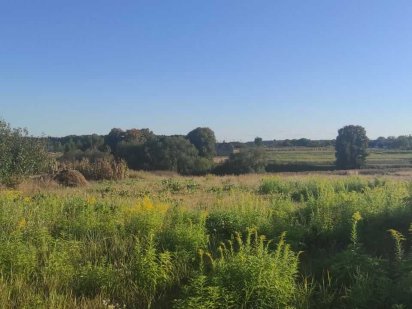 Продаж ділянки під забудову 32 сот., с.Микуличі, Бучанський р-н. ID:88 Микуличи