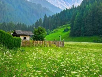 2 участка вул.Прорізна село Мила Бучанський р-н Житомирська траса Мила