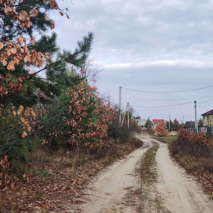 Петропавлівська Борщагівка ділянка  10 сот вул. Одеська  85 тис.у.е - фото 1