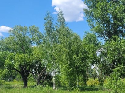 Земельна ділянка під забудову 10 соток, с. Михайлівка-Рубежівка, Коцюбинское