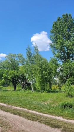 Земельна ділянка під забудову 8,5 соток, с. Михайлівка-Рубежівка, - фото 1