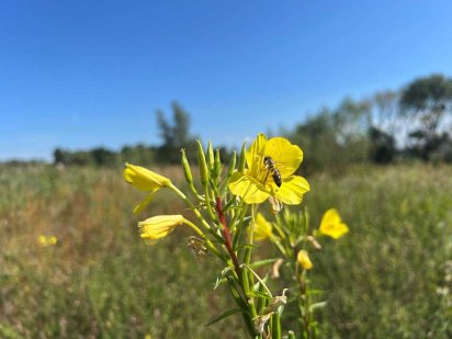 Продаж 20 соток під забудову, пров. Хутірський