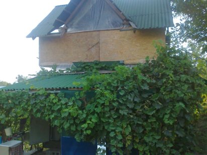 Продам дачу 6 соток под Музычами Музичі